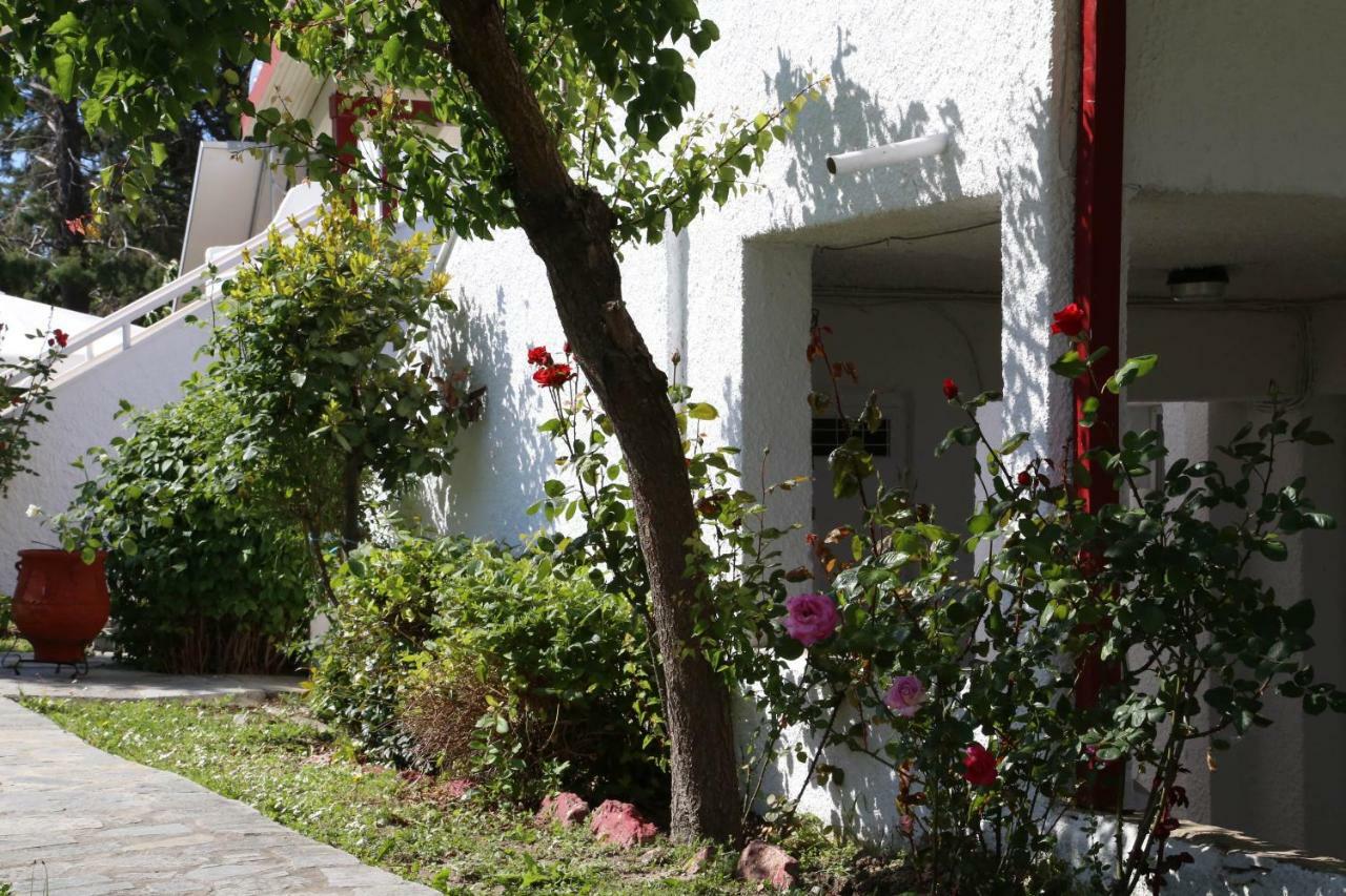 Betahomes- Summer Foúrka Eksteriør bilde
